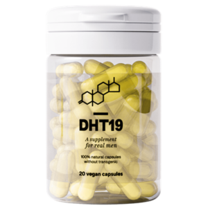 DHT19